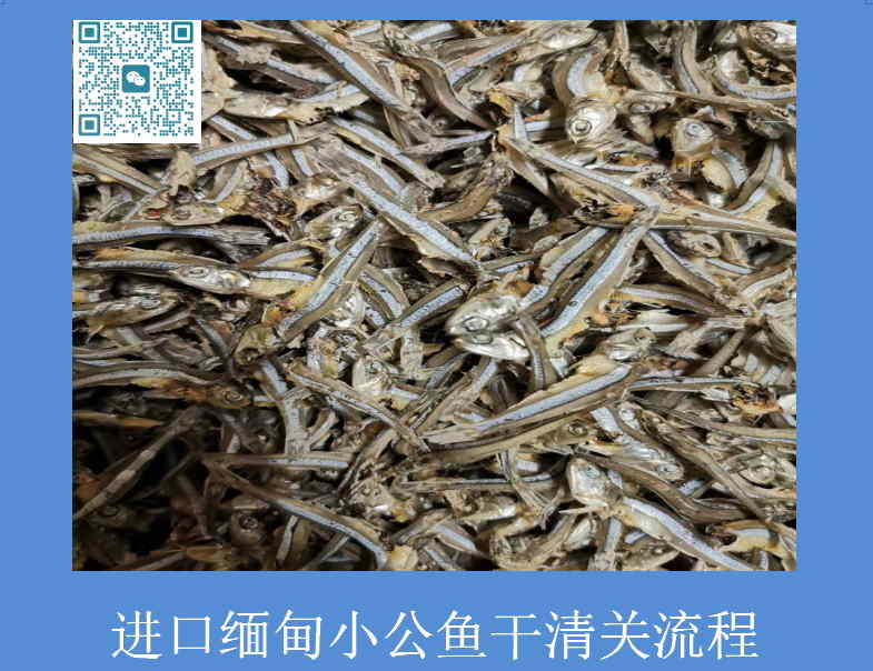 緬甸小公魚干清關(guān)流程.jpg