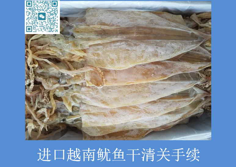 進口越南魷魚干清關(guān)手續(xù).jpg